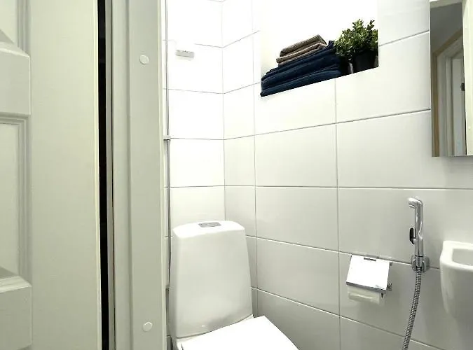Renovated Studio Toeoeloe Apartment Helsinki