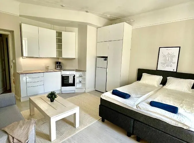Renovated Studio Toeoeloe 公寓 赫尔辛基