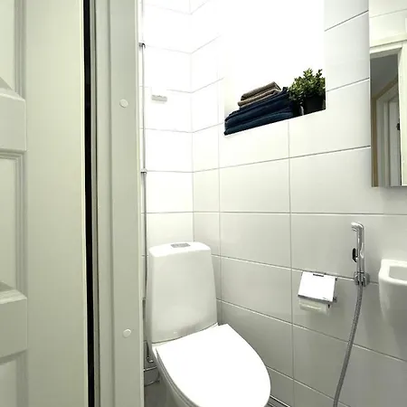 Renovated Studio Toeoeloe Lejlighed Helsinki